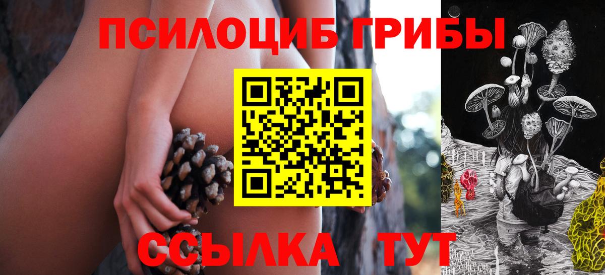 Томск  Псилоцибиновые грибы GOLDEN TEACHER  Вход с VPN 