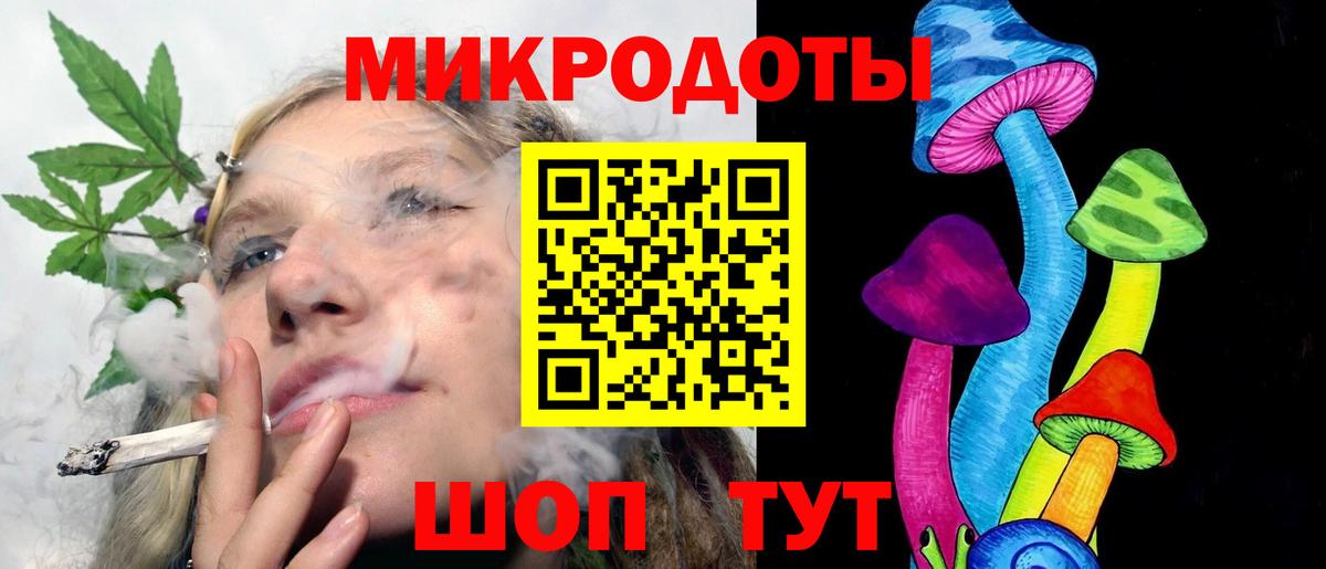 Галлюциногенные грибы Cubensis Томск